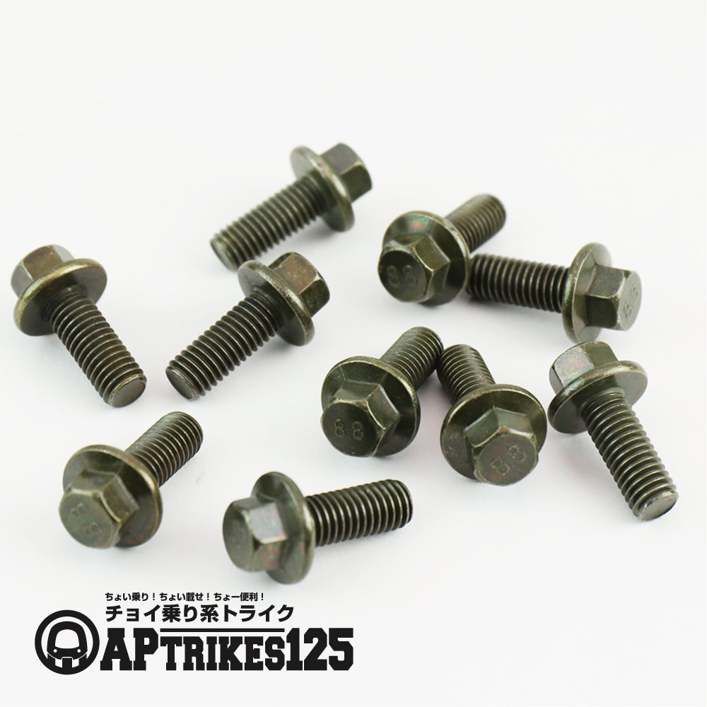 六角ボルト(M6-16mm)10本(APtrikes125/250)