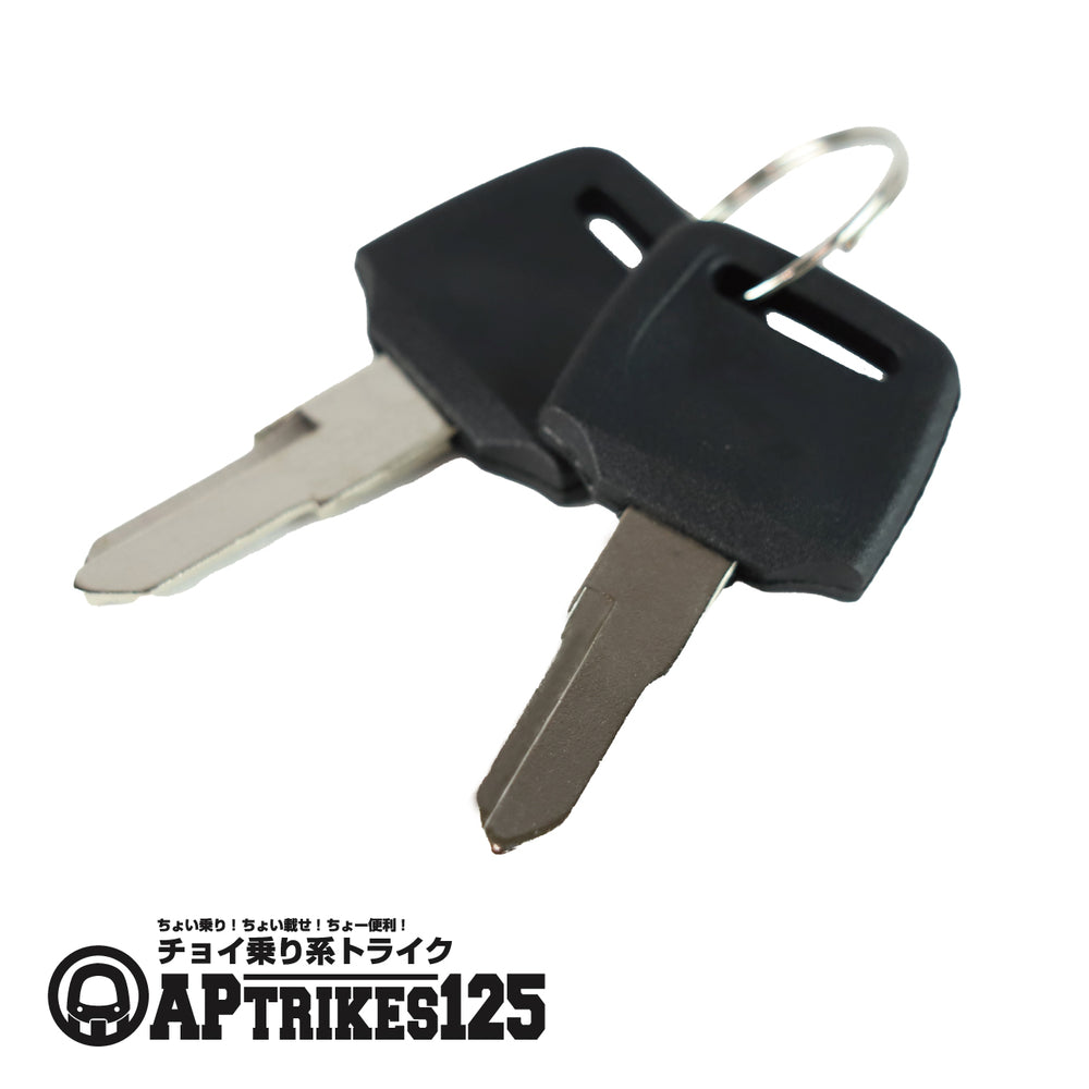 Tank Cap Blank Key (2 pcs) (APtrikes125/250)