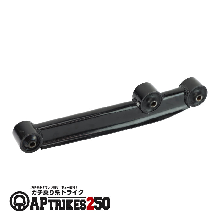 Swingarm (APtrikes250)