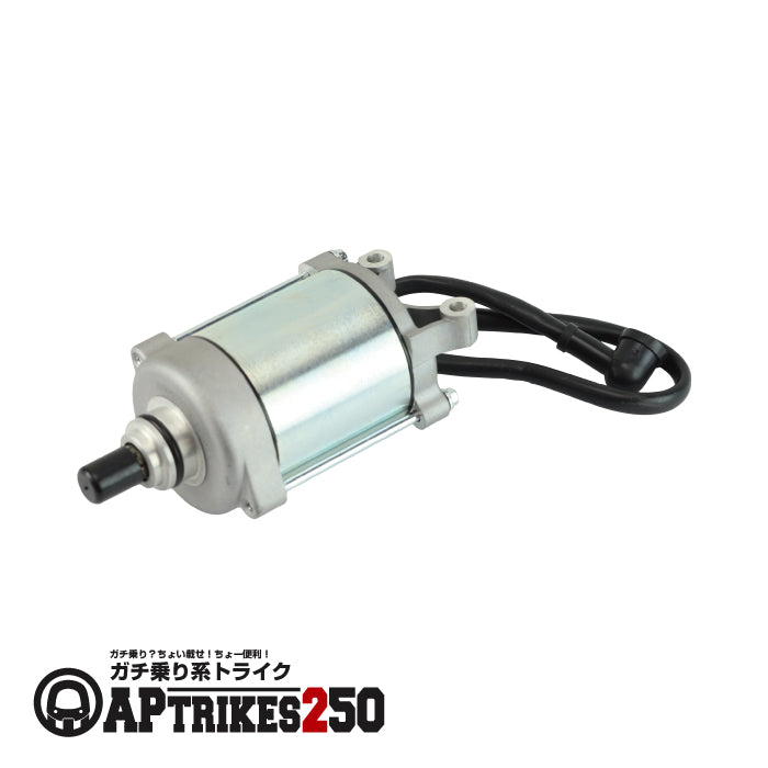 Starter Motor (APtrikes250)