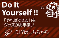 DoIt Yourself
