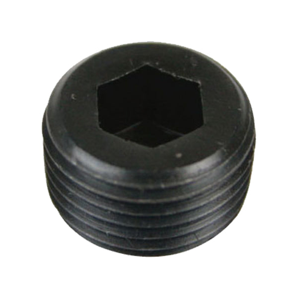 3/8NPT Plug Bolt