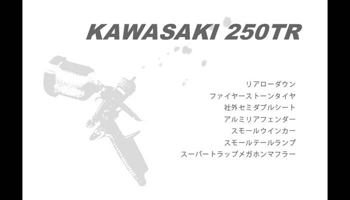 250TR カスタム STREET