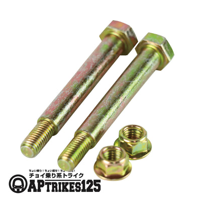 スイングアーム取り付けボルト(APtrikes125)