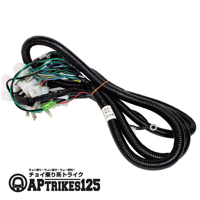 Main Wiring Harness (APtrikes125)