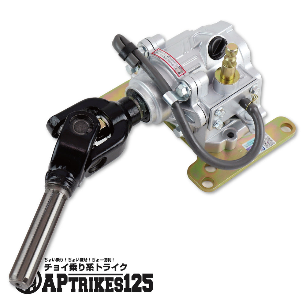 バックギアユニット(APtrikes125)