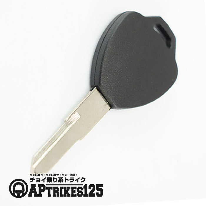 ブランクキーメイン(APtrikes125/250)