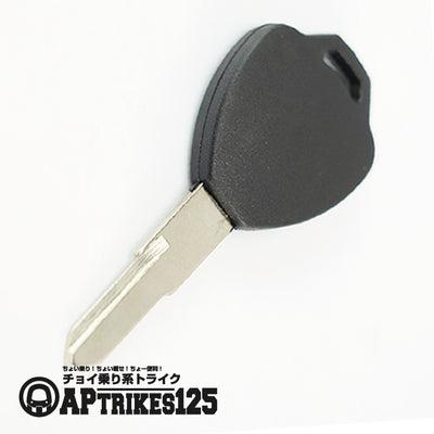 ブランクキーメイン(APtrikes125/250)