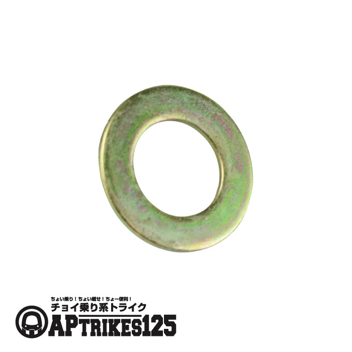 Hub Washer (for 2023 and Earlier Models) (APtrikes125)