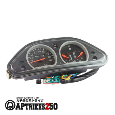 Speedometer (APtrikes250)