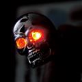 [廃番] ナンバーボルト-LED SKULL-