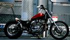 [AN-BU]　VIRAGO/made.20110917