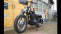 [G-classic-custompaint]　ESTRELLA/made.GC20130208