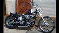 [2%er]　SOFTAIL/made.T20130124