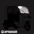 フロントガラス [APtrikes125]　[超過送料]