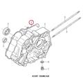 クランクケースガスケット - APtrikes125