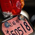 CRAZY CUB DUCK NumberBolt /CC110プコブルー