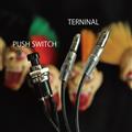 PUSH PUNK SWICTH /パンキッシュグリーン