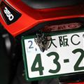 SATANISM NumberBolt /Lucifer Black