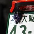 SATANISM NumberBolt /Evil Purple