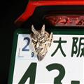 SATANISM NumberBolt /Starvation Brown