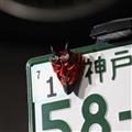 SATANIC RIDERS NumberBolt /Red Devil
