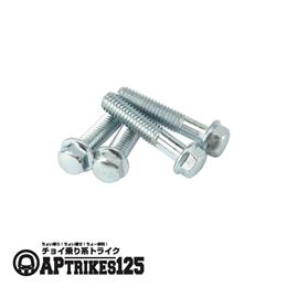 マニホールド用 ボルトセット[APtrikes125]