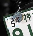 HOWLINGWOLF BY FULLMOON NumberBolt /WISDOM -知恵-