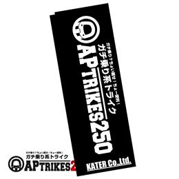 APtrikes250 販促用のぼり