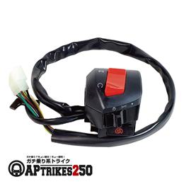 右スイッチBOX [APtrikes250]
