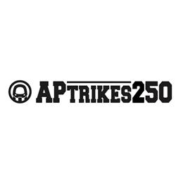 カッティングステッカー [APtrikes250]
