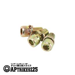 フロントブレーキディスクボルト(3本) (2024年モデル以降対応)[APtrikes125/250]