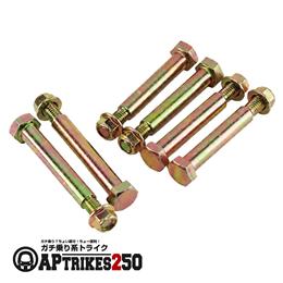 スイングアーム取り付けボルト [APtrikes250]