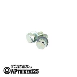 フロントキャリパーサポートボルト [APtrikes125/250]